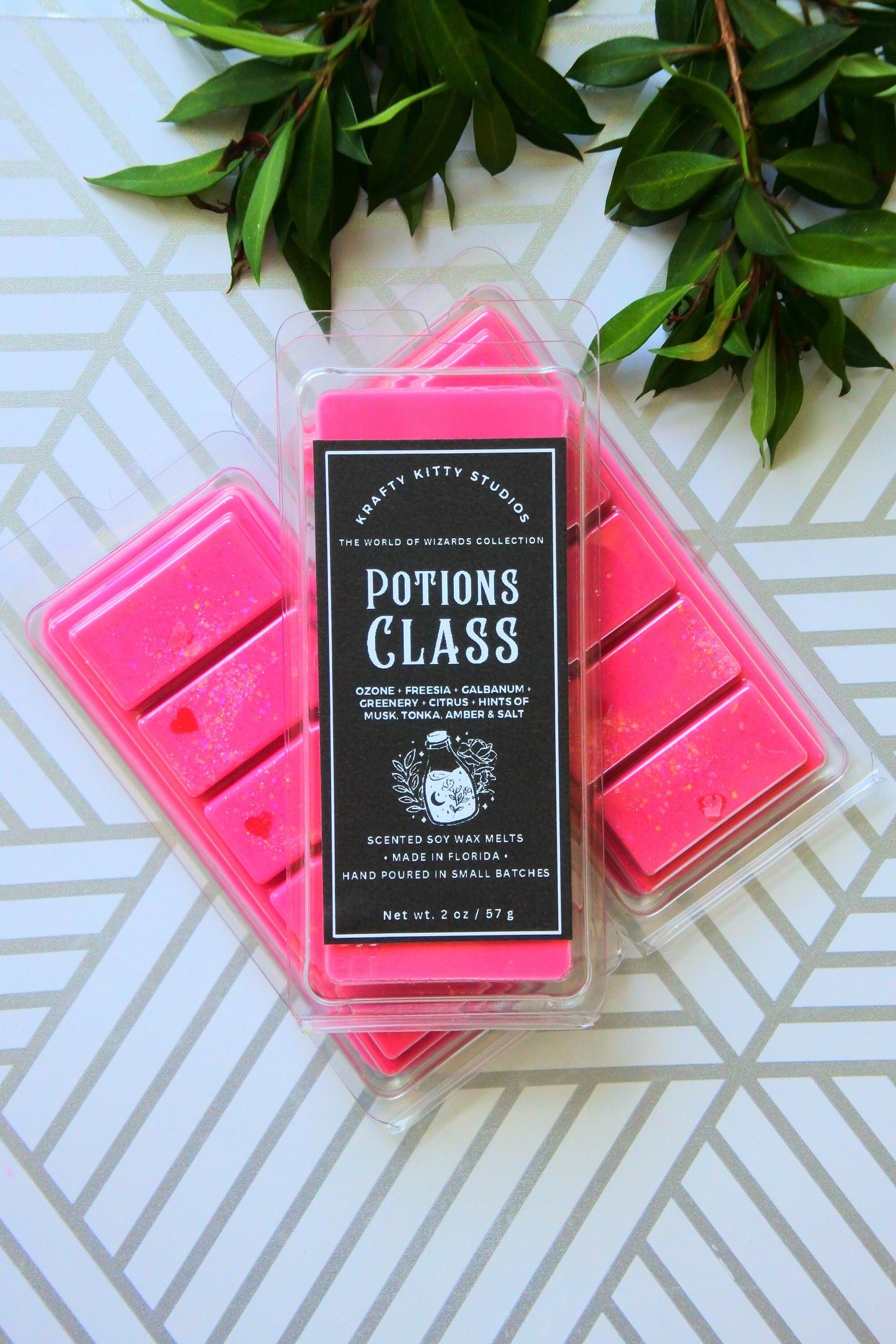 Potions Class | Ozone, Freesia, Galbanum, Greenery, Citrus, Musk, Tonka, Amber & Salt | Natural Soy Wax Melt Snap Bar | World of Wizards