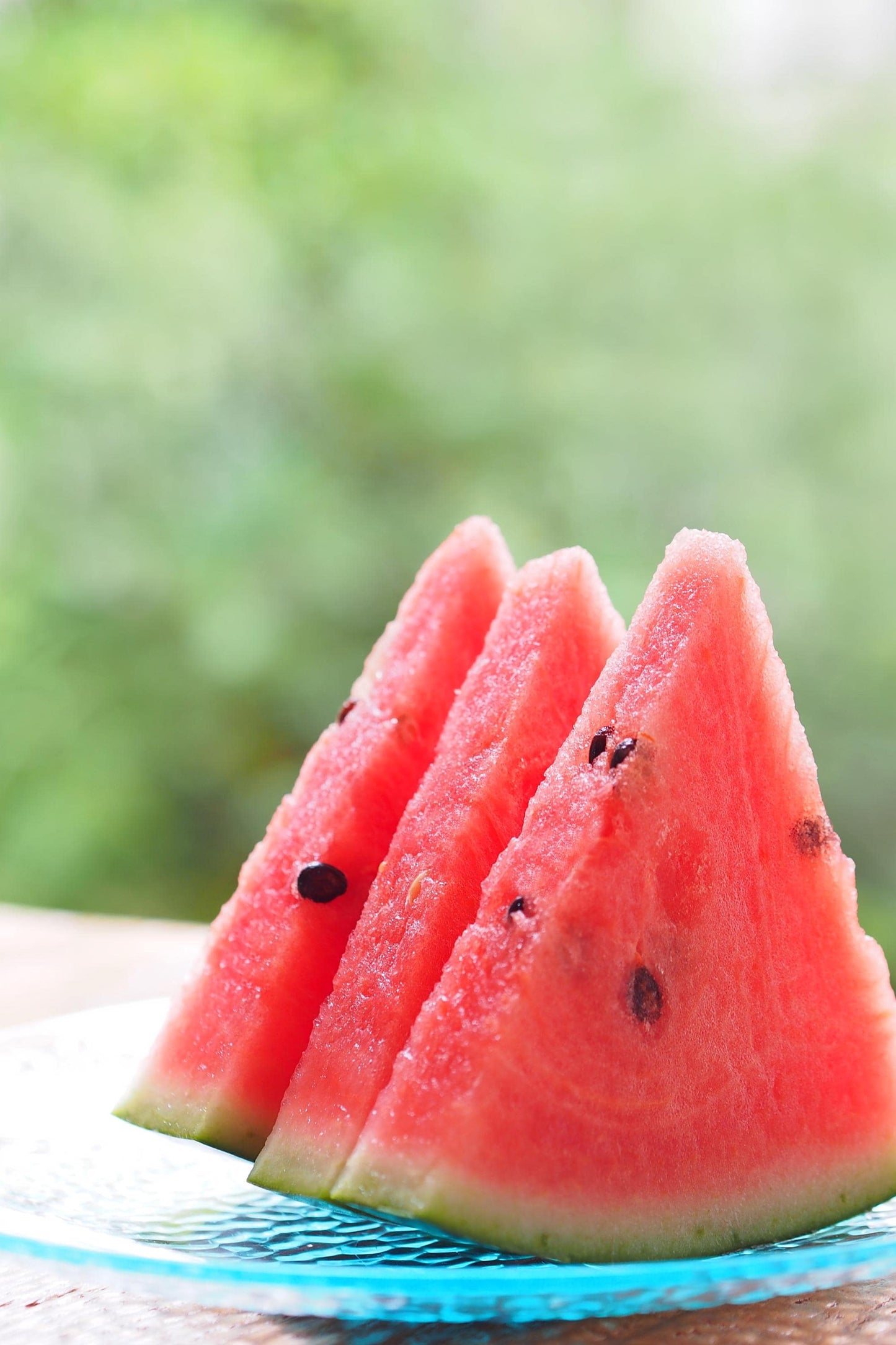 Slice of Summer | Slices Of Refreshingly Sweet & Juicy Watermelon | Natural Soy Wax Melt Snap Bar | Summer Sunshine Collection