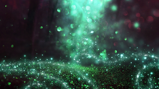 Collection Updates & Notices