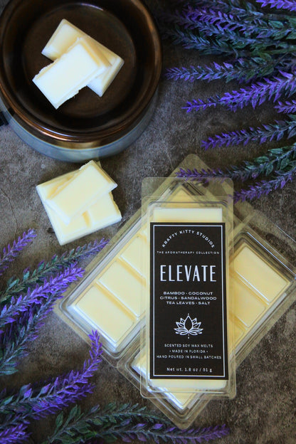 Elevate | Bamboo, Coconut, Citrus, Sandalwood, Salt, Black & Green Tea Leaves | Soy Wax Melt Snap Bar | Aromatherapy Collection