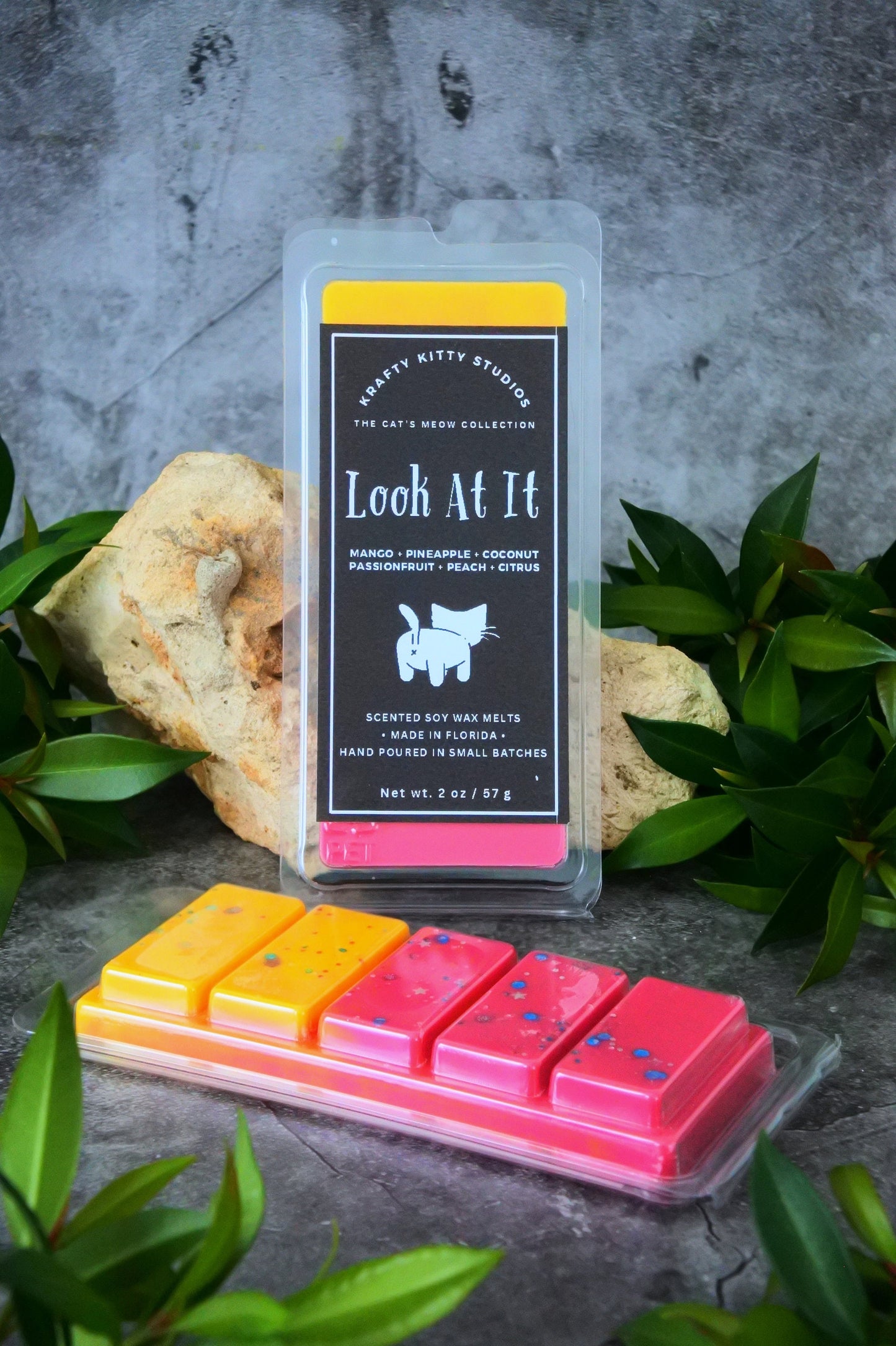 Look At It | Mango + Pineapple + Coconut + Passionfruit + Peach & Citrus | Soy Wax Melt Snap Bar | Cat’s Meow Collection