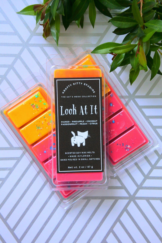 Look At It | Mango + Pineapple + Coconut + Passionfruit + Peach & Citrus | Soy Wax Melt Snap Bar | Cat’s Meow Collection