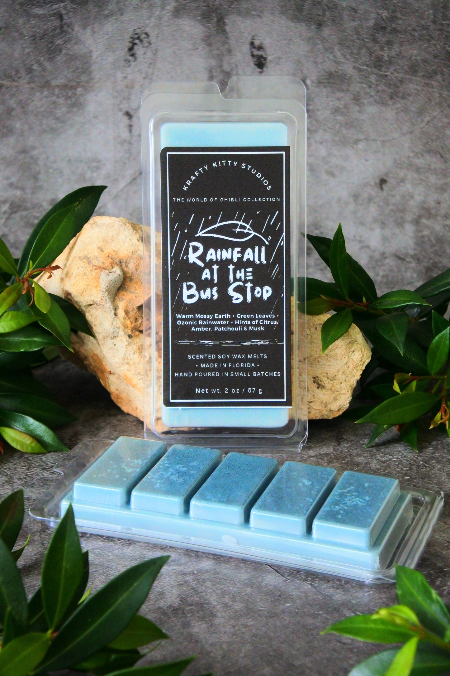 Rainfall At the Bus Stop | Mossy Earth + Leaves + Ozonic Rain + Citrus + Amber & Patchouli | Natural Soy Wax Melt Snap Bar