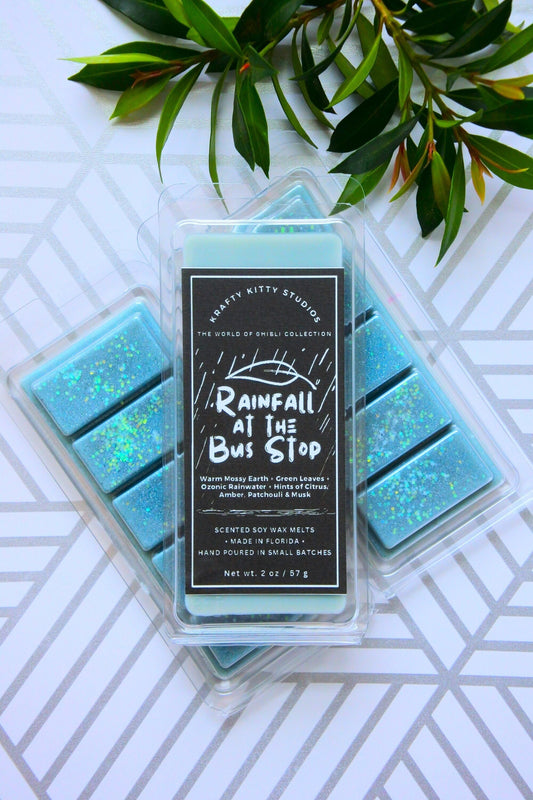 Rainfall At the Bus Stop | Mossy Earth + Leaves + Ozonic Rain + Citrus + Amber & Patchouli | Natural Soy Wax Melt Snap Bar