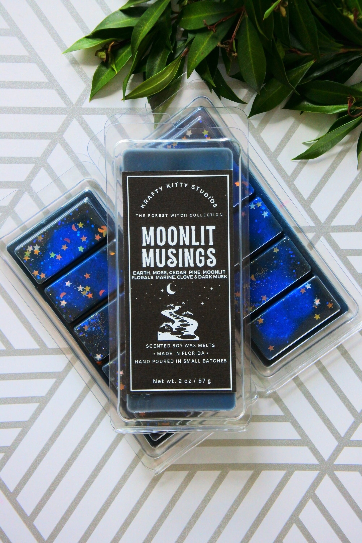 Moonlit Musings: Earth, Moss, Cedar, Pine, Florals, Marine, Clove, Dark Musk | Soy Wax Melt
