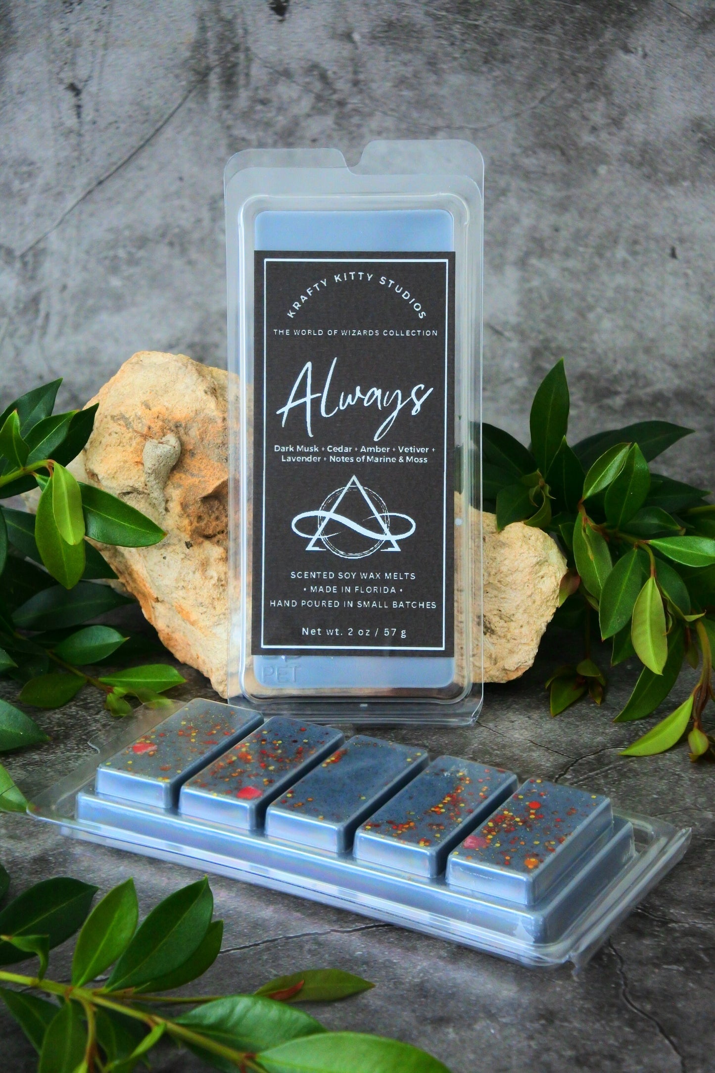 Always | Dark Musk + Cedar + Amber + Vetiver + Lavender + Notes of Marine & Moss | Wax Melt Snap Bar | World of Wizards Collection