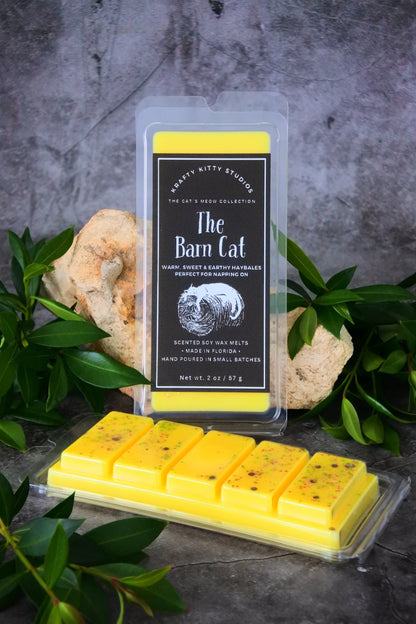 The Barn Cat: Fresh, Sweet Hay & Warm Earth | Soy Wax Melt Snap Bar