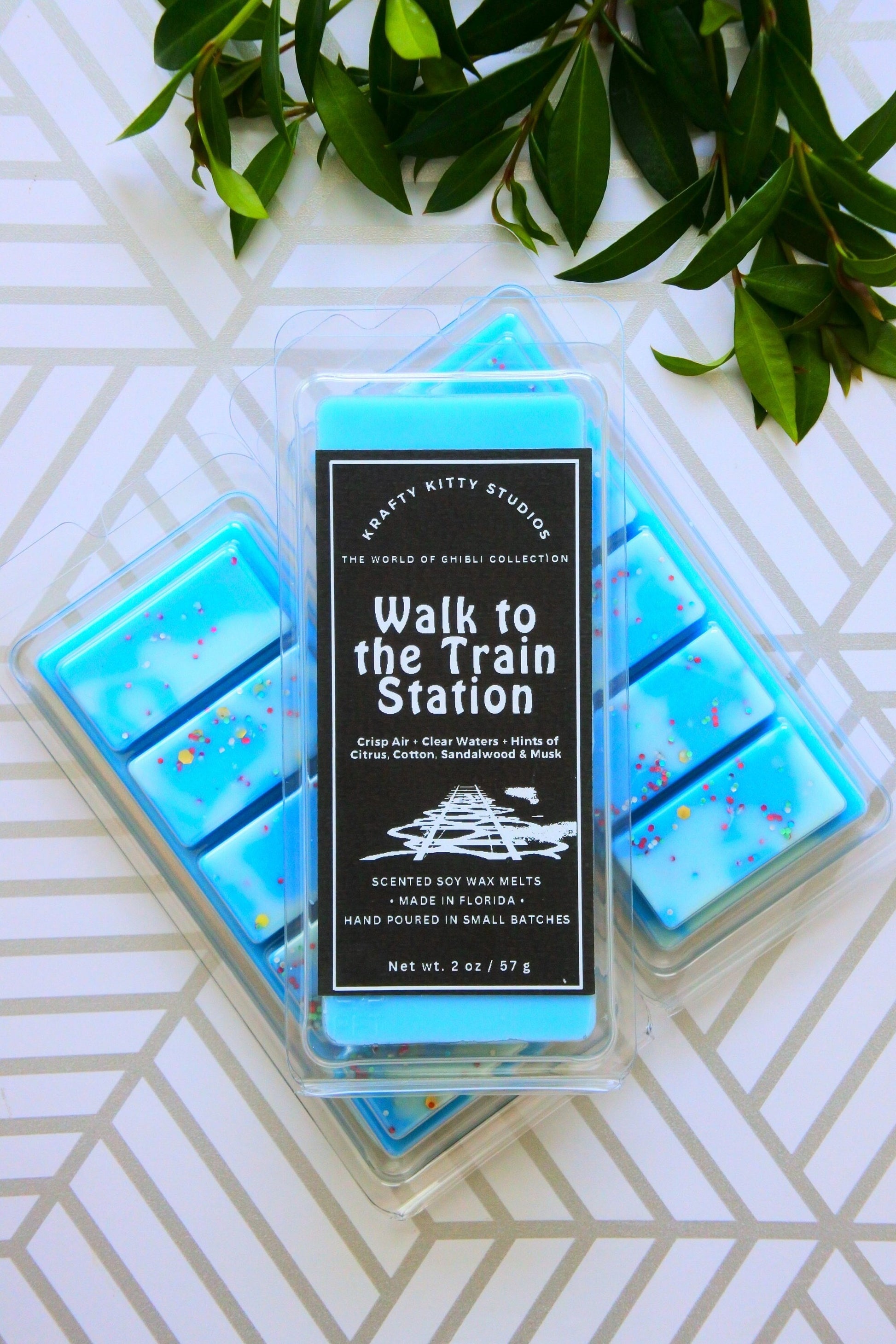 Walk to the Train Station | Crisp Air + Clear Water + Hints of Citrus + Cotton + Sandalwood & Musk | Natural Soy Wax Melt Snap Bar