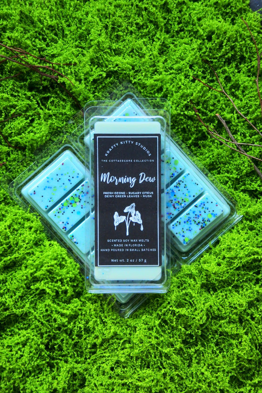 Morning Dew | Fresh Ozone + Sugary Citrus + Dewy Green Leaves + Musk | Natural Soy Wax Melt Snap Bar | Cottagecore Collection