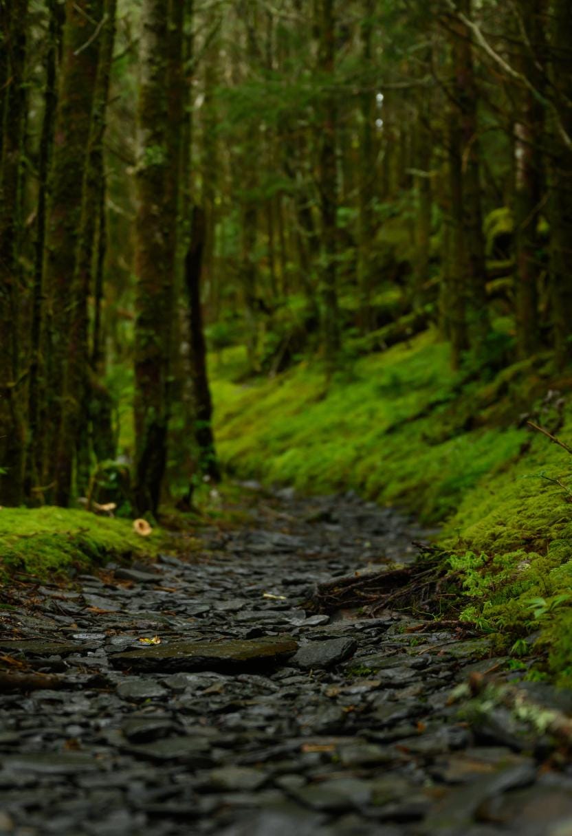 Mossy Pathways | Fresh Carpets of Dewy Moss + Warm Rich Earth | Natural Soy Wax Melt Snap Bar | Cottagecore Collection