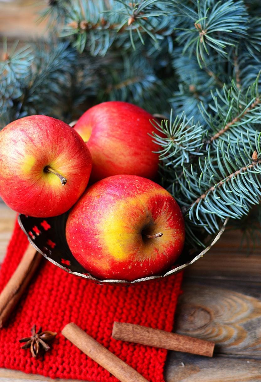 Simmer Pot Magic | Tart Apples, Green leaves, Cinnamon Bark, Allspice | Natural Soy Wax Melt Snap Bar | Cottagecore Collection