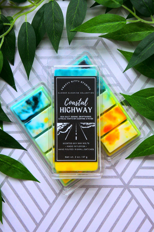Coastal Highway | Sea Salt, Ozone, Driftwood, Citrus, Hints of Jasmine & Musk | Natural Soy Wax Melt Snap Bar | Summer Sunshine Collection
