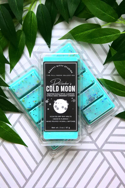 December's Cold Moon: Eucalyptus, Camphor, Citrus, Sage, Greenery & Roses | Soy Wax Melt Snap Bar