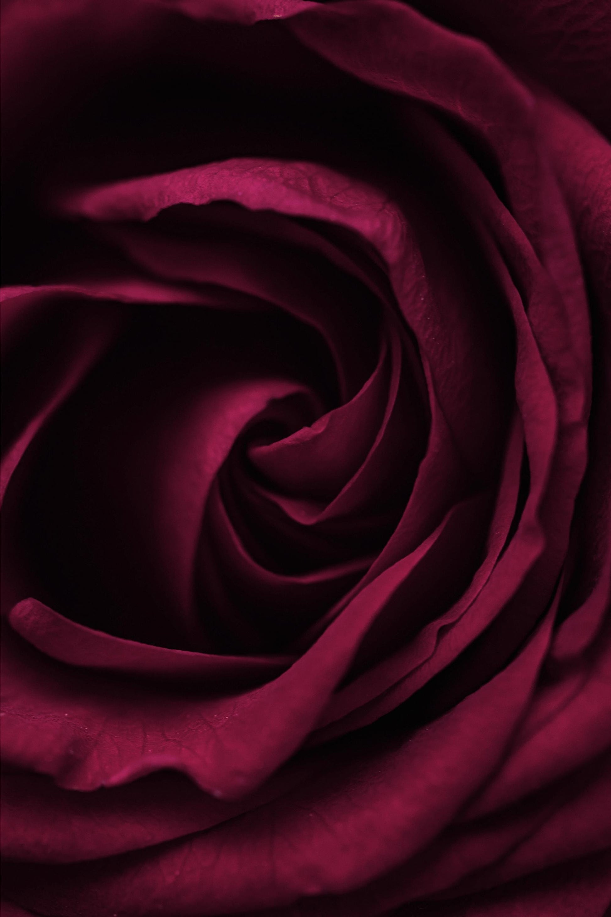 Velvet After Dark: Roses, Oud, Dark Musk, Amber, Myrrh, Peppercorn & Sandalwood | Soy Wax Melt | After Dark Valentine's Collection