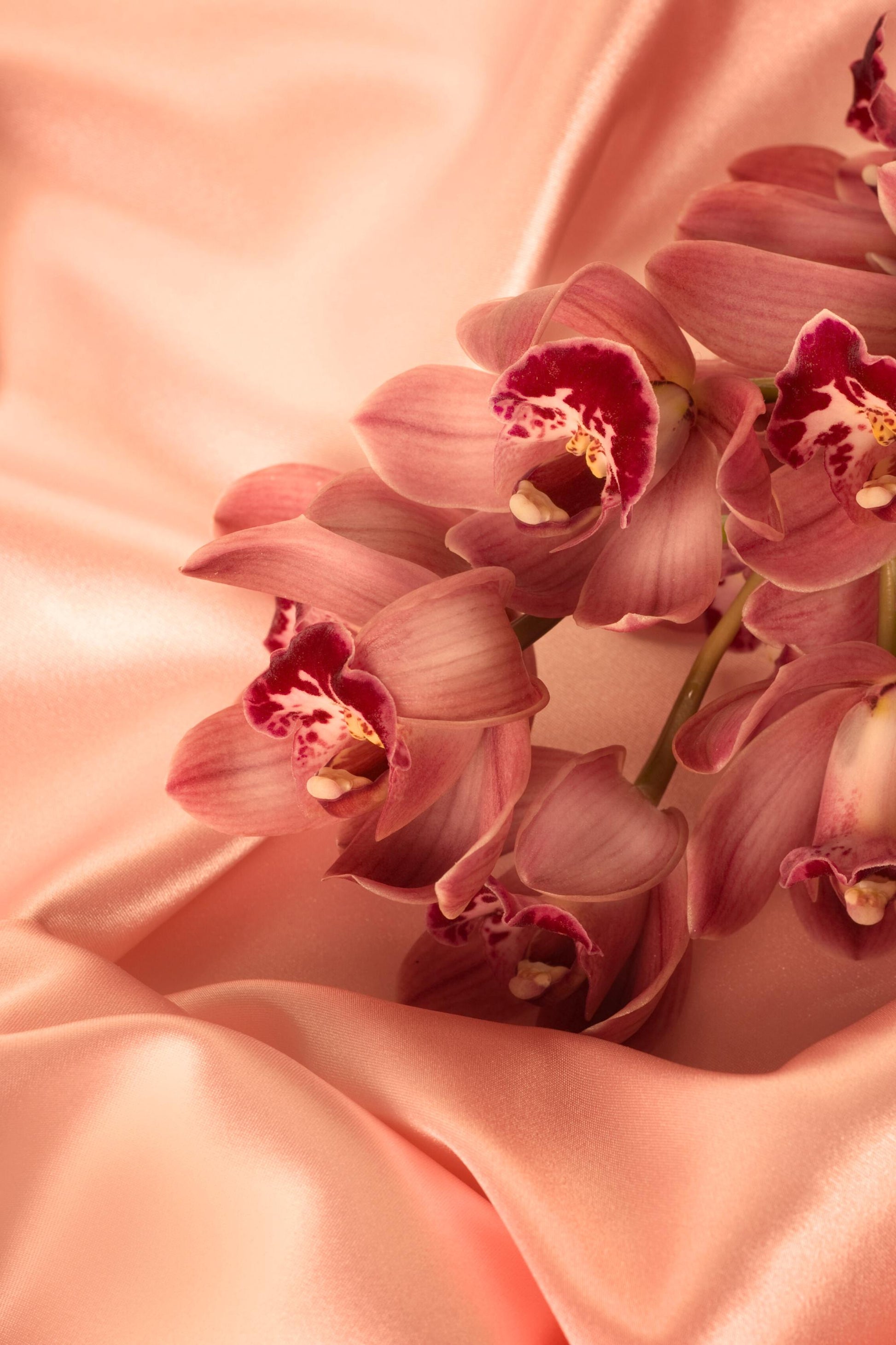 Skin & Silk: Cashmere Musk, Soft Florals, Bergamot, Warm Amber, Resinous Woods | Soy Wax Melt | After Dark Valentine's Collection