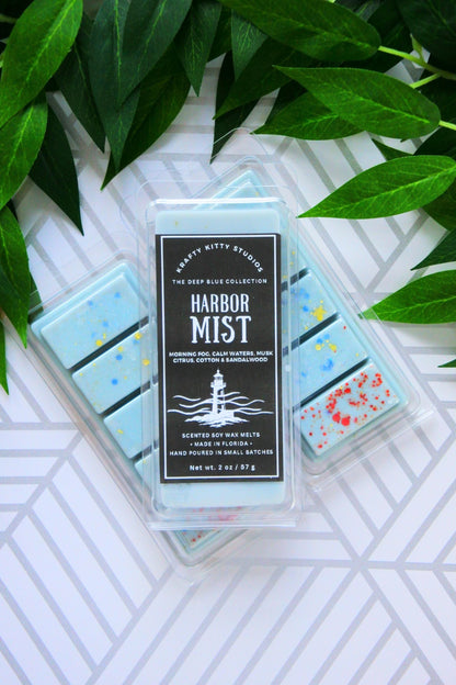 Walk to the Train Station | Crisp Air + Clear Water + Hints of Citrus + Cotton + Sandalwood & Musk | Natural Soy Wax Melt Snap Bar