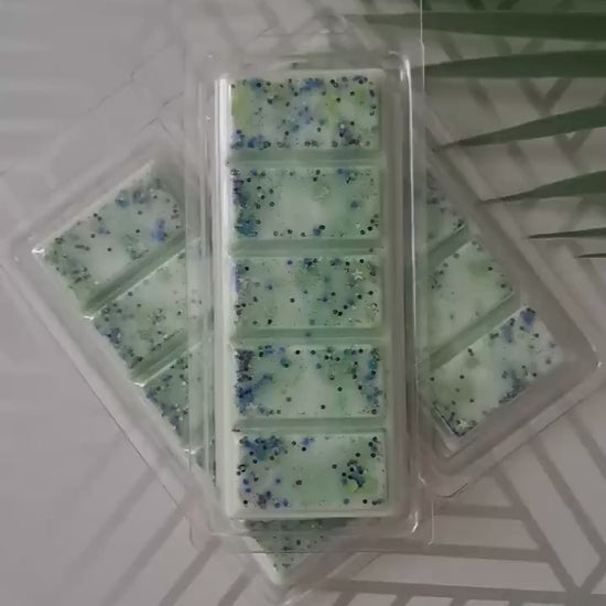 The Forest Time Forgot: Warm Earth, Moss, Grass, Hints of Cedar, Spruce, Pine, & Herbs | Glow-in-the-Dark Soy Wax Melt